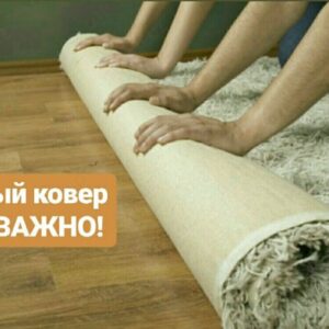 Профессиональная химчистка ковров в Бельцах и районах